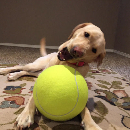 Tênis Ball - A gigante bola para cães